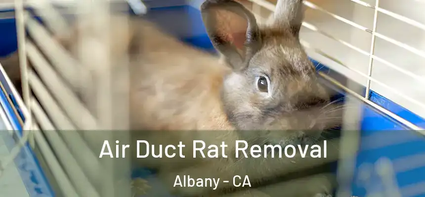 Air Duct Rat Removal Albany - CA