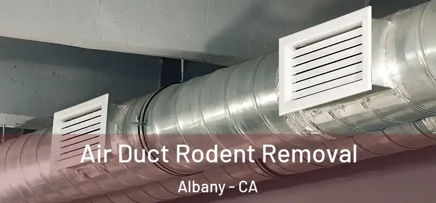  Air Duct Rodent Removal Albany - CA