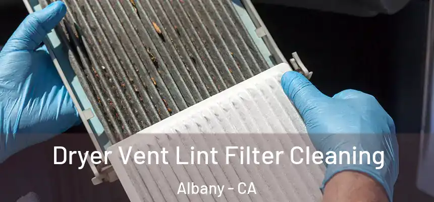  Dryer Vent Lint Filter Cleaning Albany - CA