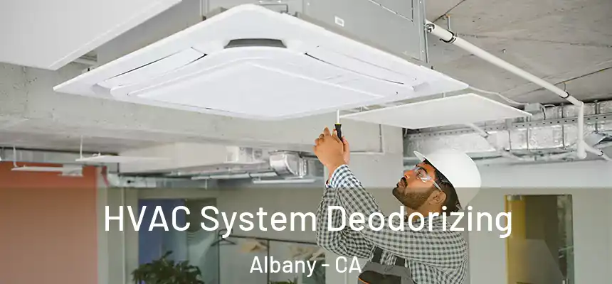 HVAC System Deodorizing Albany - CA