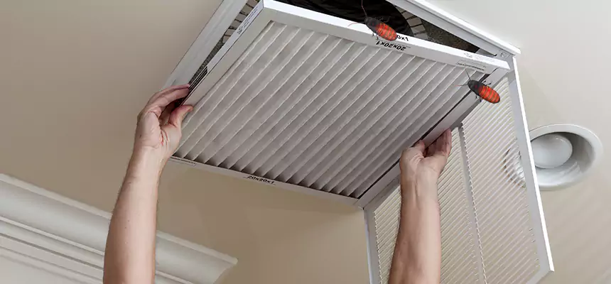 Preventive Cockroach-Proofing for Ducts in Albany