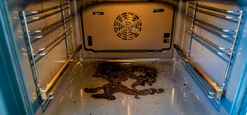 Our Dryer Vent Mold Cleaning Services in Albany, CA