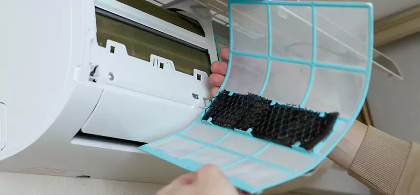 Gentle Ductwork Odor-Control Pet Dander Duct Cleaning in Albany, CA