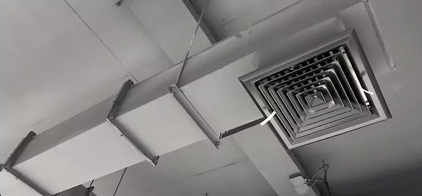 Our Rodent Droppings In Vents Services in Albany, CA