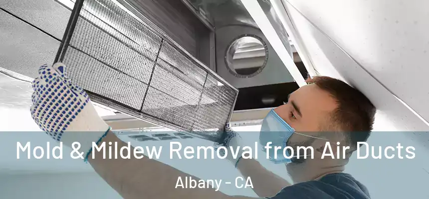  Mold & Mildew Removal from Air Ducts Albany - CA