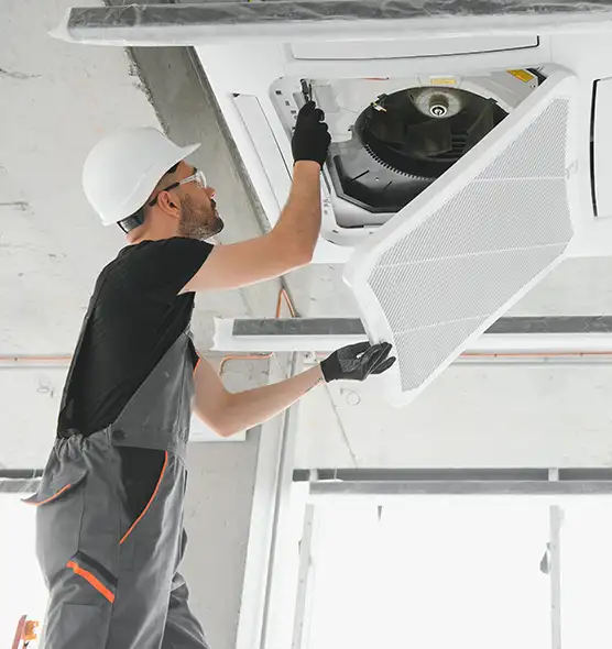 About Air Duct Rodent Removal in Albany, CA