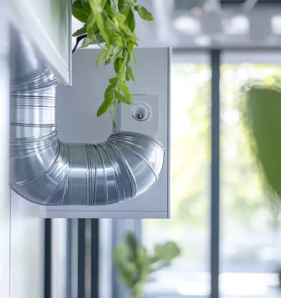 Professional Eco-Safe Dryer Vent Cleaning in Albany, CA