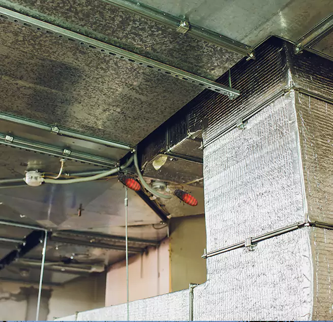 Why Homeowners & Businesses Trust Us in Albany, CA?