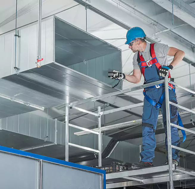 Why Homeowners Businesses Trust Us in Albany, CA