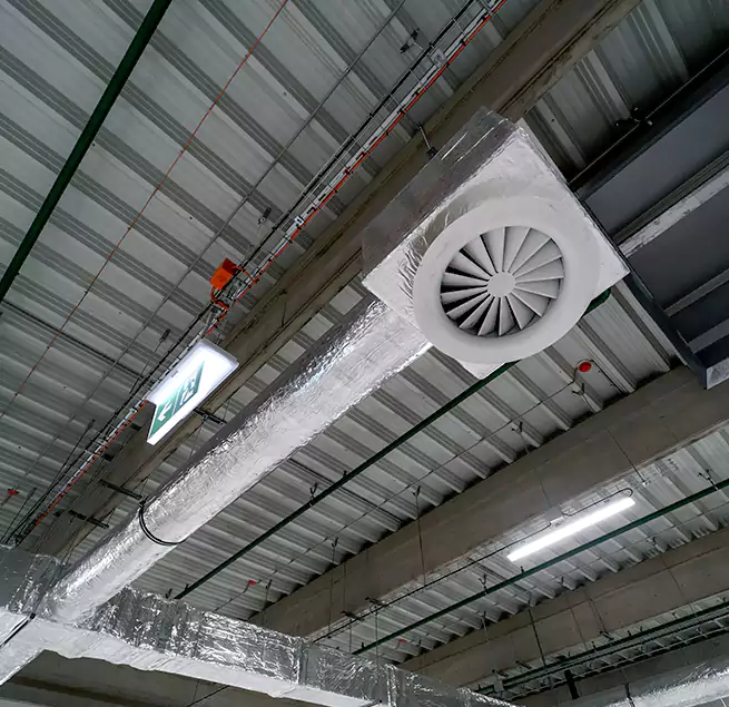 Why Homeowners & Businesses Trust Us in Albany, CA?