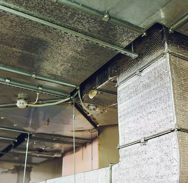 Why Homeowners & Businesses Trust Us in Albany, CA?