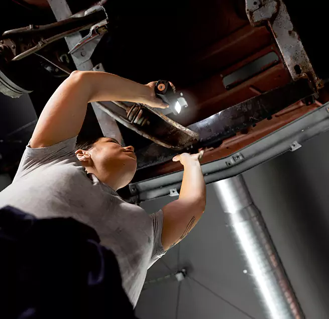 Why Homeowners & Businesses Trust Us Albany, CA