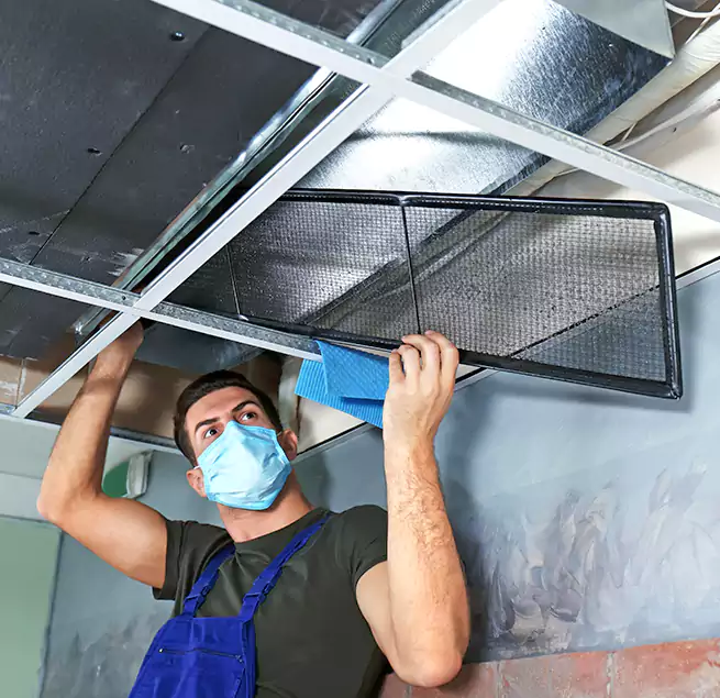 Why Homeowners Businesses Trust Us in Albany, CA