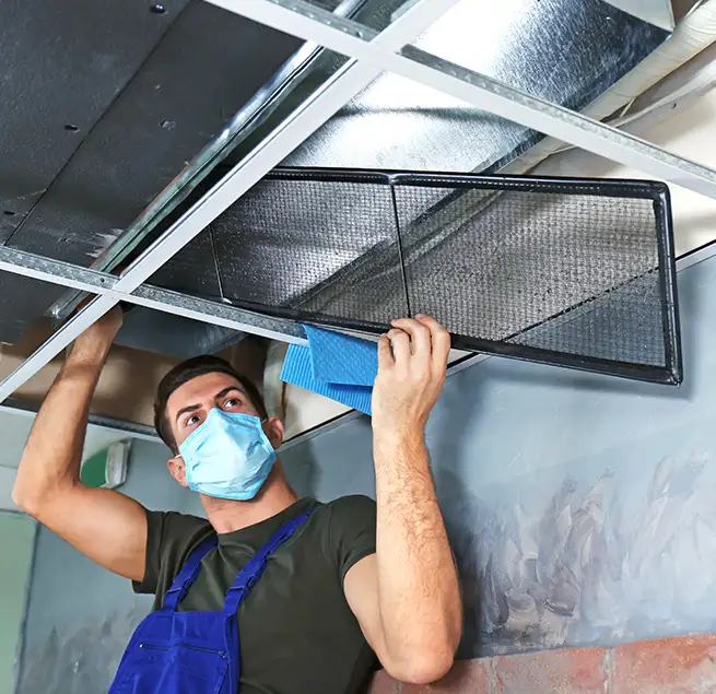 Why Homeowners & Businesses Trust Us in Albany, CA?