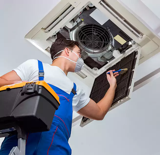 Why Homeowners & Businesses Trust Us in Albany, CA?